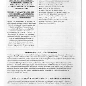 traducción de antecedentes penales